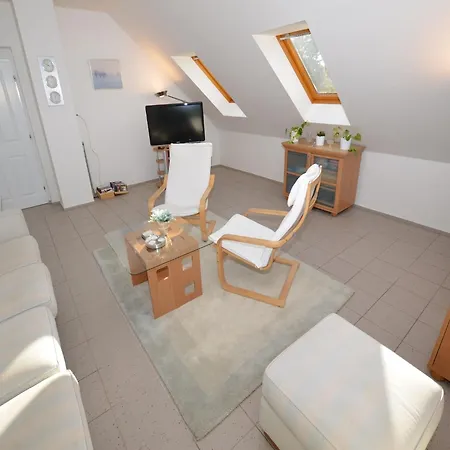 Comfortable In Near Forest Apartament *