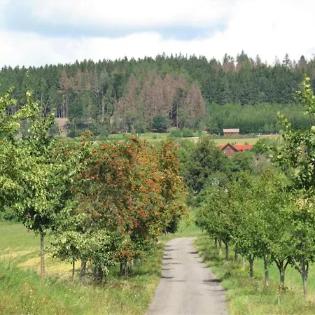 Apartament Comfortable In Near Forest *