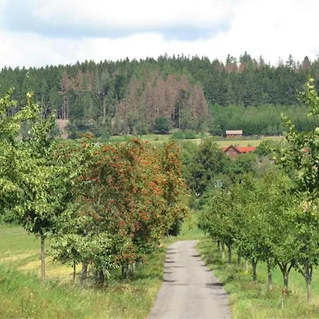 Comfortable In Near Forest * Nemojov