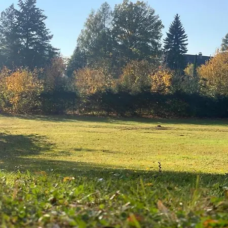 Apartament Comfortable In Near Forest