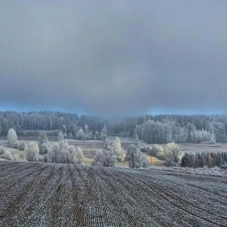 Comfortable In Near Forest