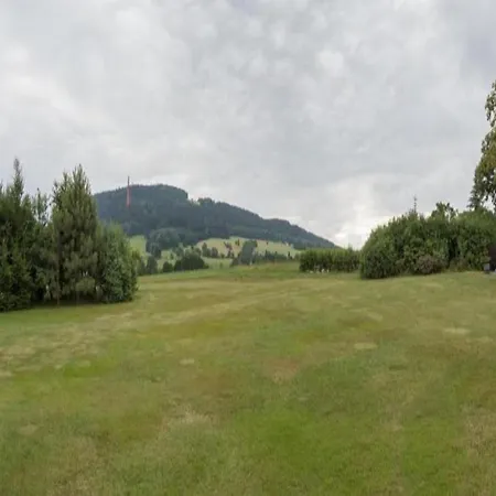 Apartament Comfortable In Near Forest *
