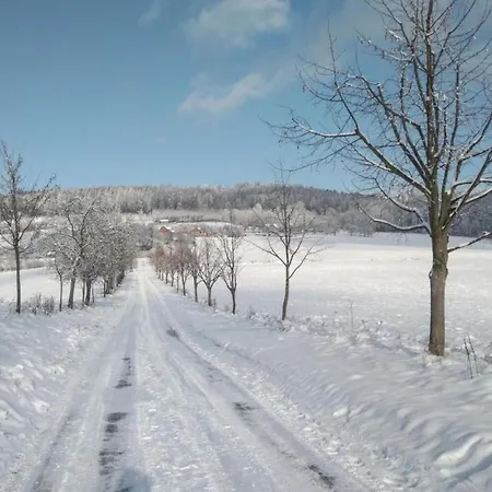 Apartament Comfortable In Near Forest *
