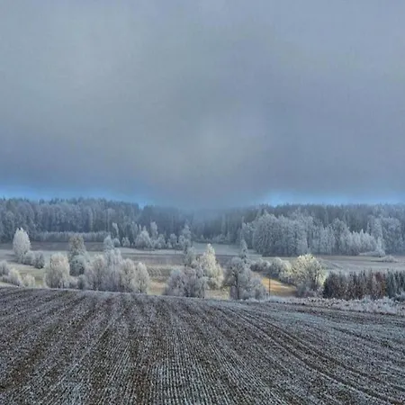 Comfortable In Near Forest *