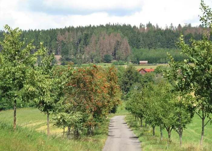 Appartement Comfortable In Near Forest *