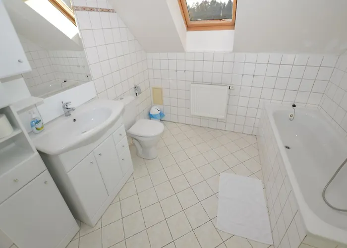 Comfortable In Near Forest Nemojov