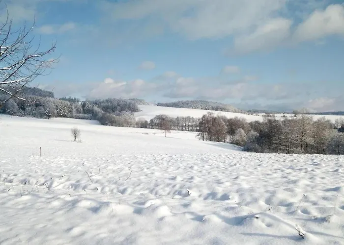 Comfortable In Near Forest * Nemojov