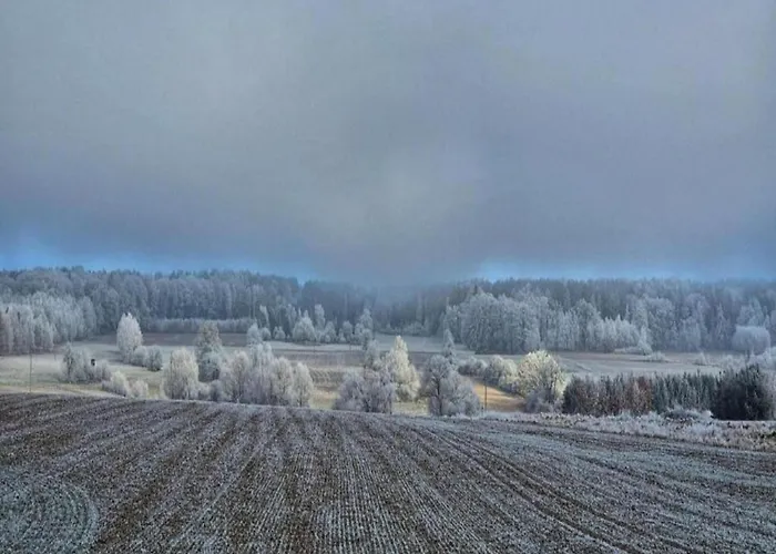 Comfortable In Near Forest